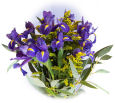 Diana Iris Diana,West Virginia,WV:Simply Iris Bouquet
